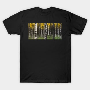 Black Birch Trees with Golden Leaves T-Shirt